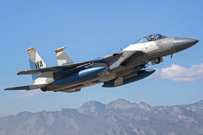 Illustration for article titled USAF's Dubious Priorities Results In Axing Of F-15 Aggressor Squad